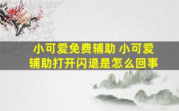 小可爱免费辅助 小可爱辅助打开闪退是怎么回事